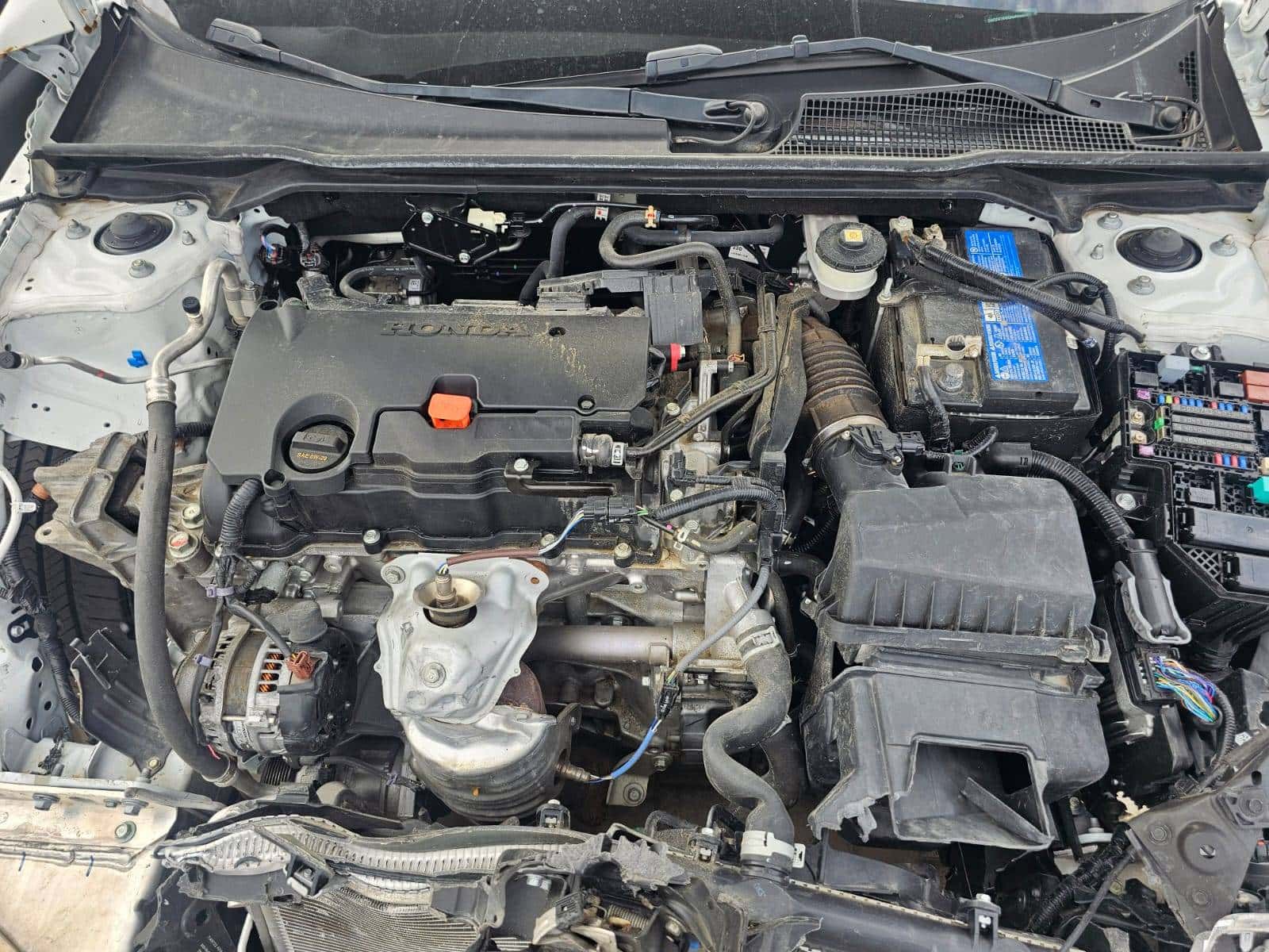 HONDA CIVIC SPORT 2023 thumbnail 2