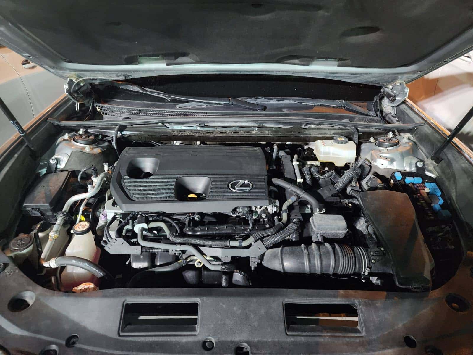 LEXUS ES 300H - Exterior