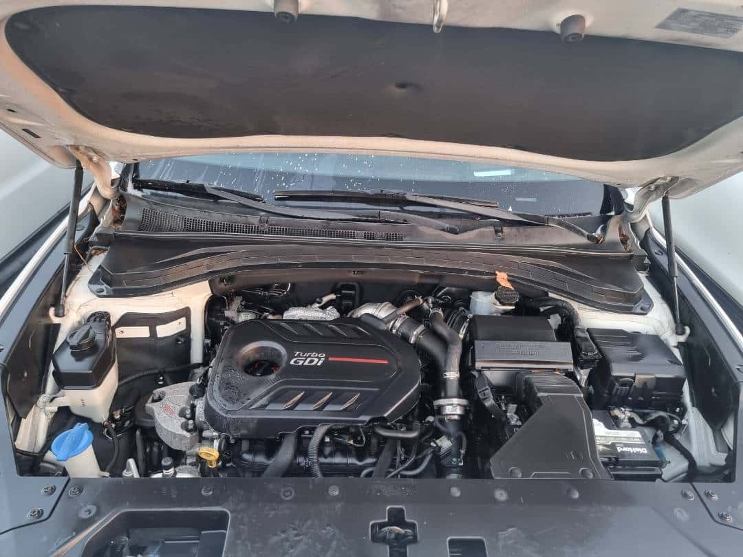 HYUNDAI SANTA FE 2019 thumbnail 4