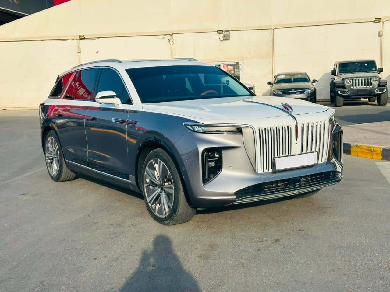 Hongqi EHS9 2023 thumbnail 4