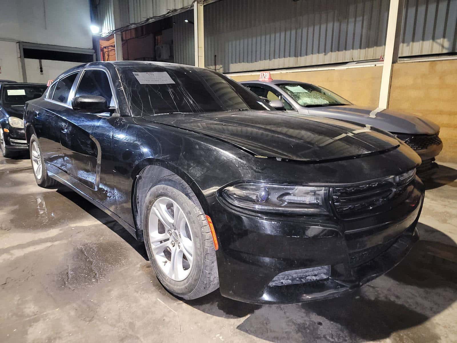DODGE CHARGER - Exterior