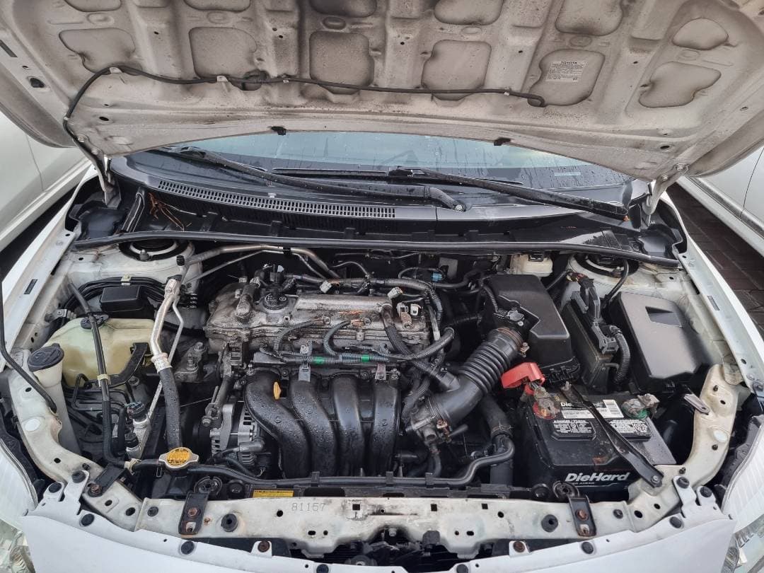 TOYOTA COROLLA 2010 vehicle photo