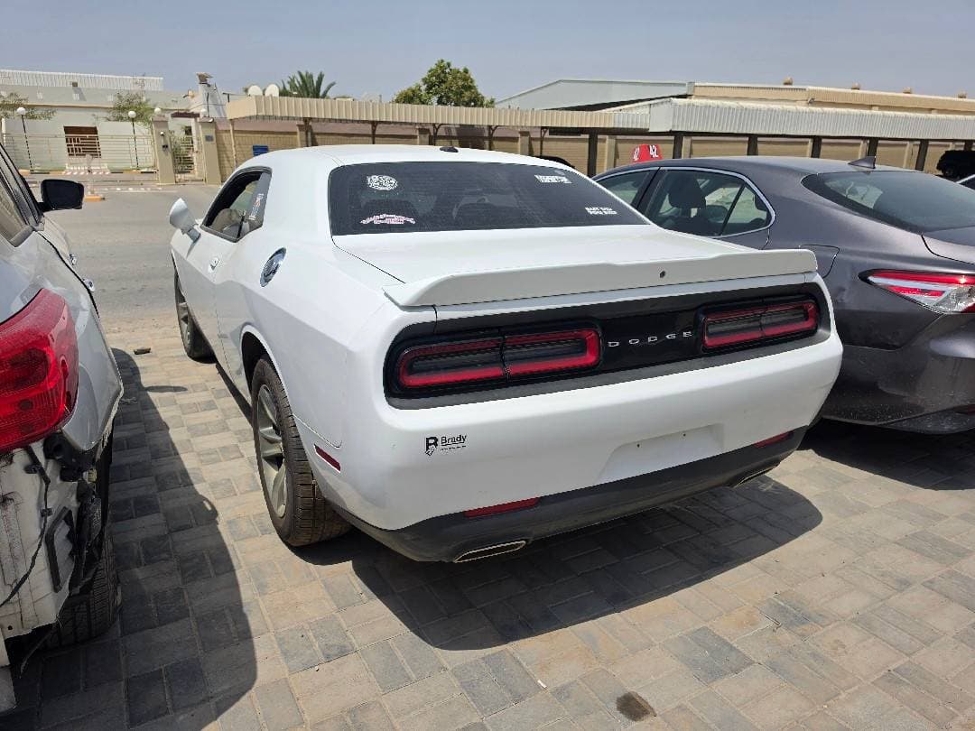 DODGE CHALLENGER 2019 vehicle photo