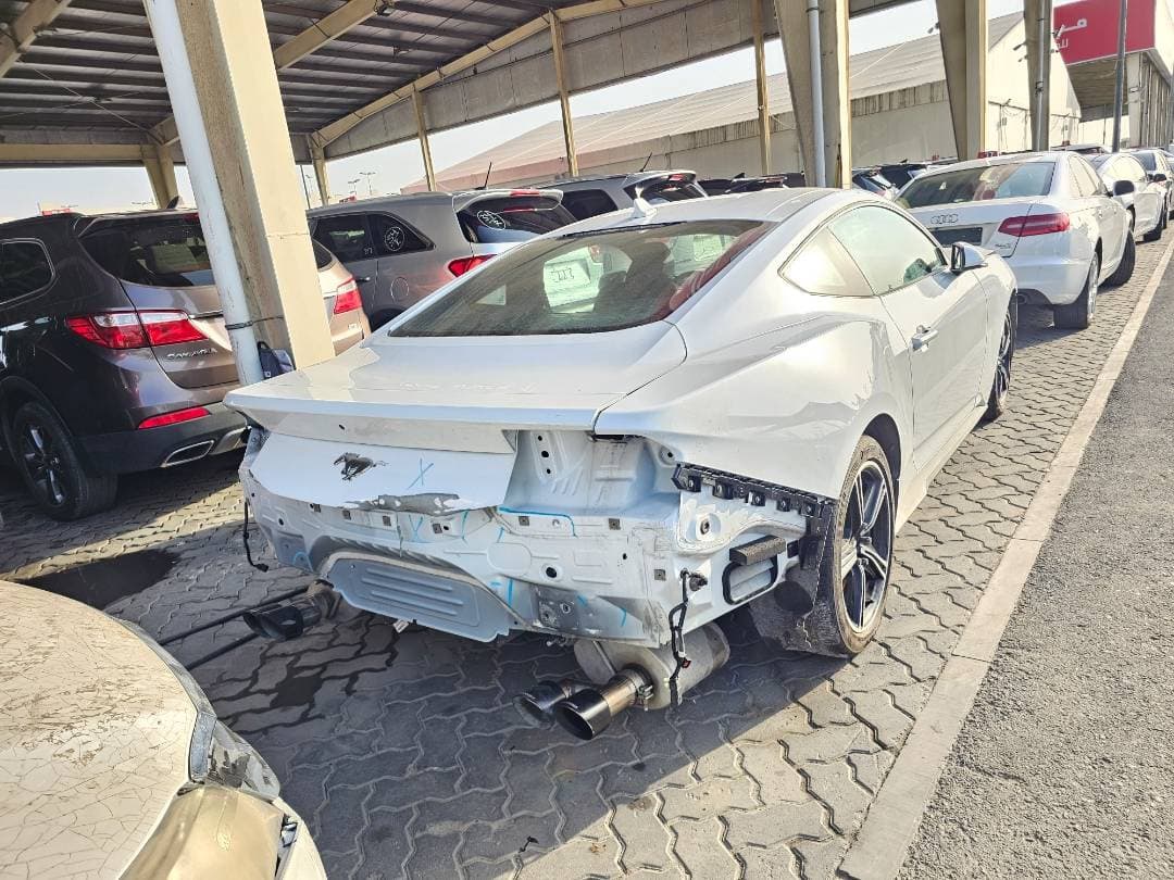 FORD MUSTANG 2024 vehicle photo