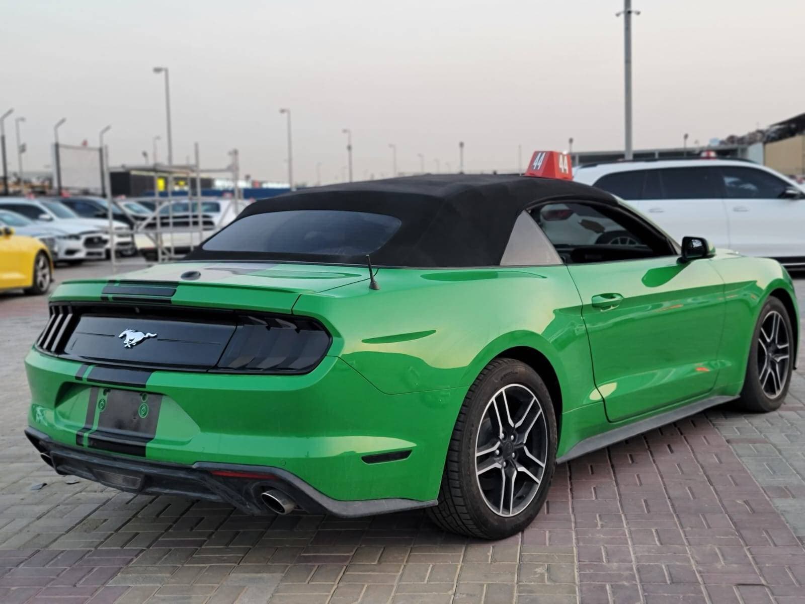 FORD MUSTANG 2019 view 5