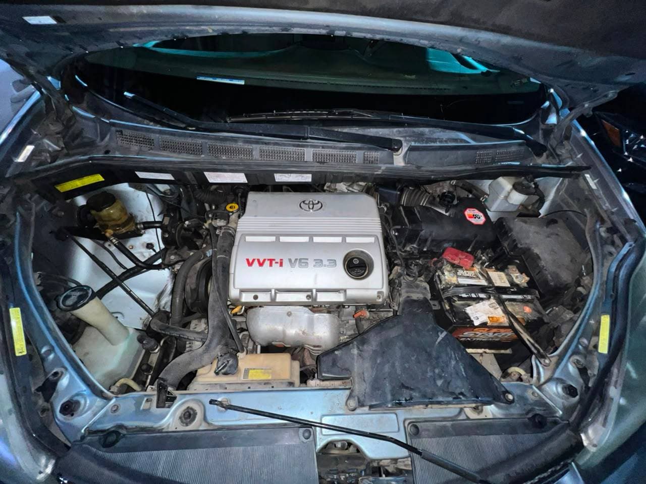 TOYOTA SIENNA 2004 view 2