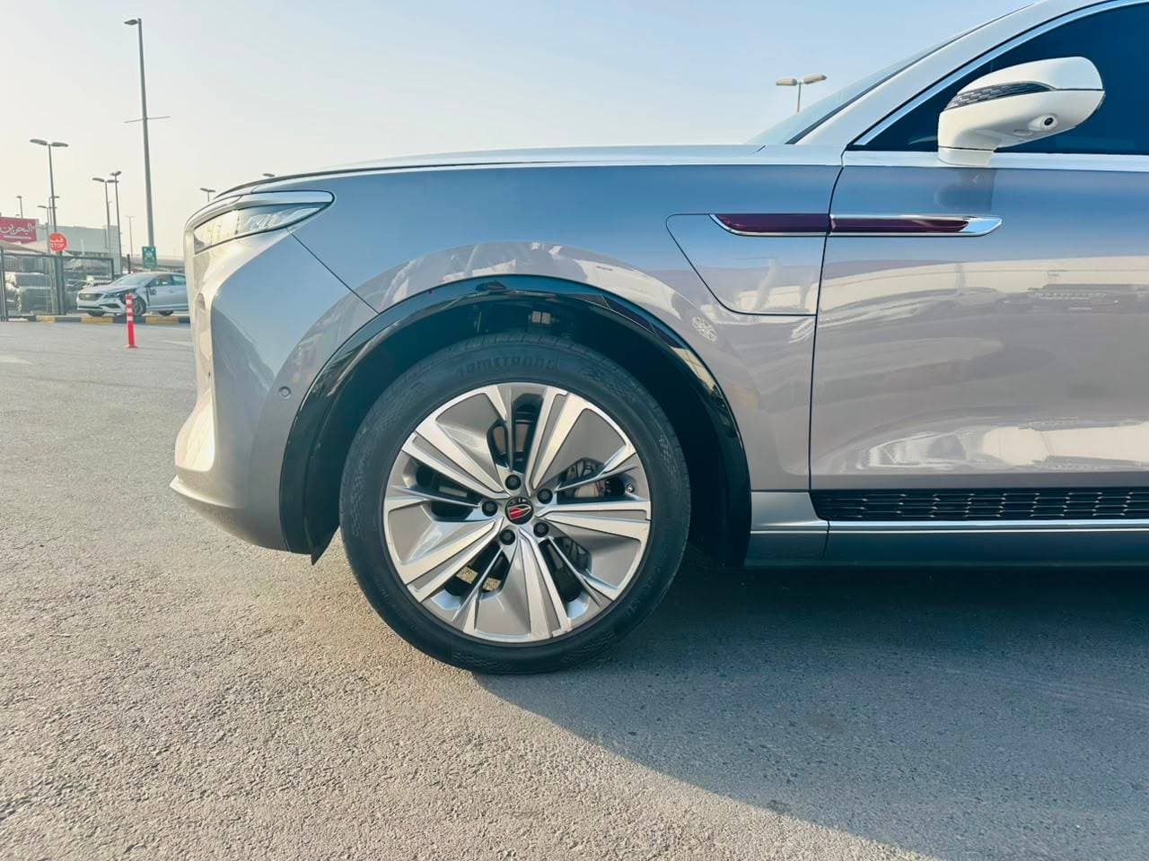 Hongqi EHS9 2023 view 14