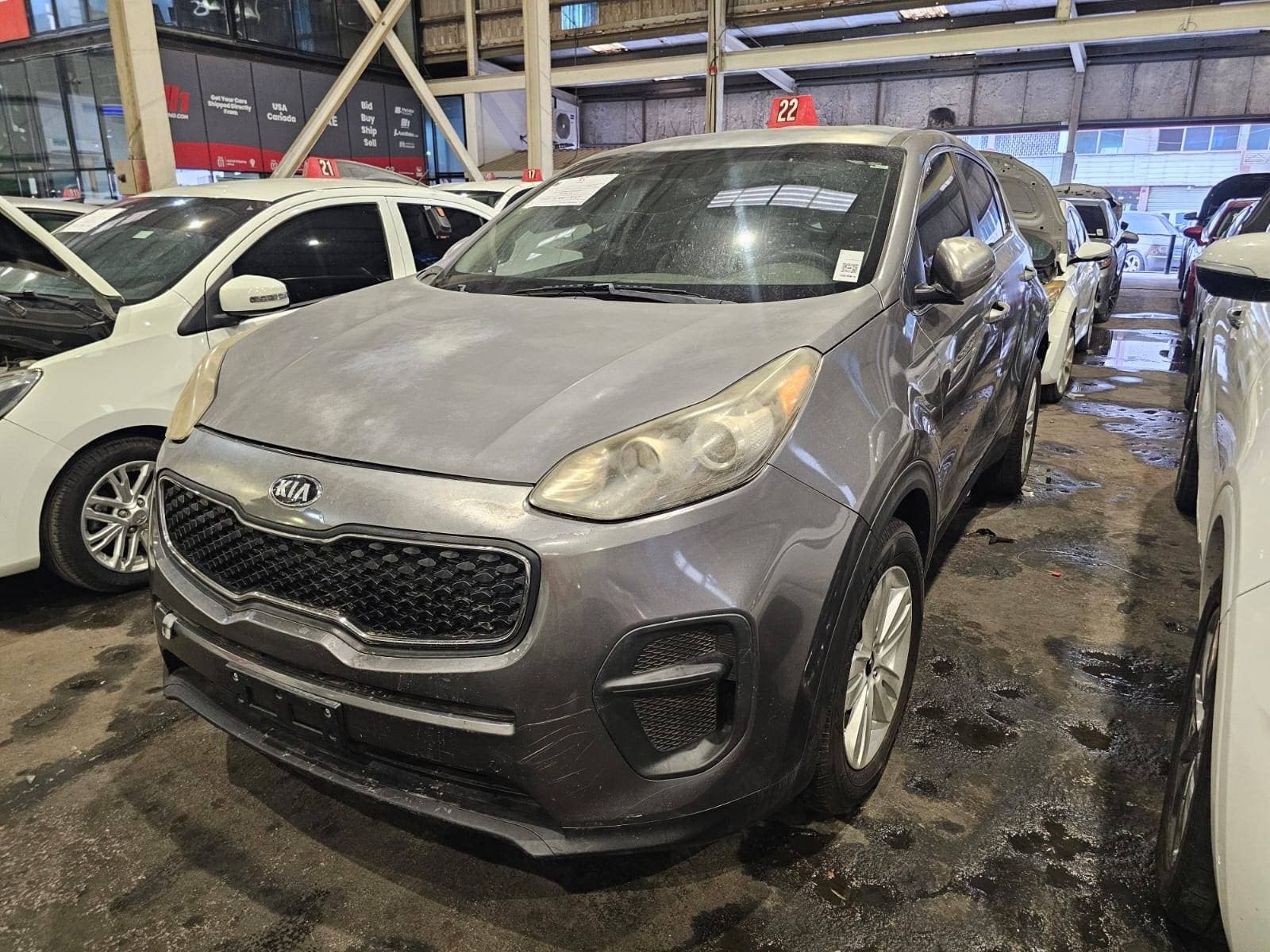 KIA SPORTAGE 2017 vehicle photo