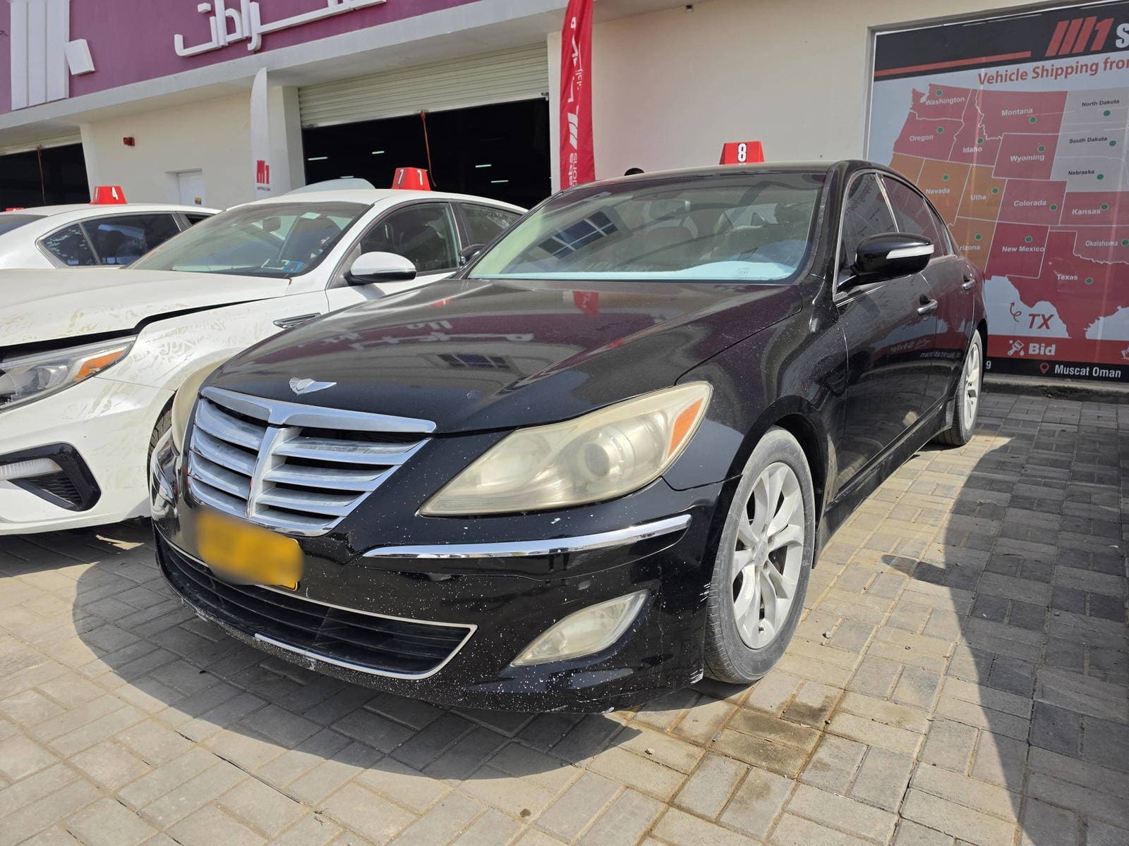 HYUNDAI GENESIS 2013 vehicle photo
