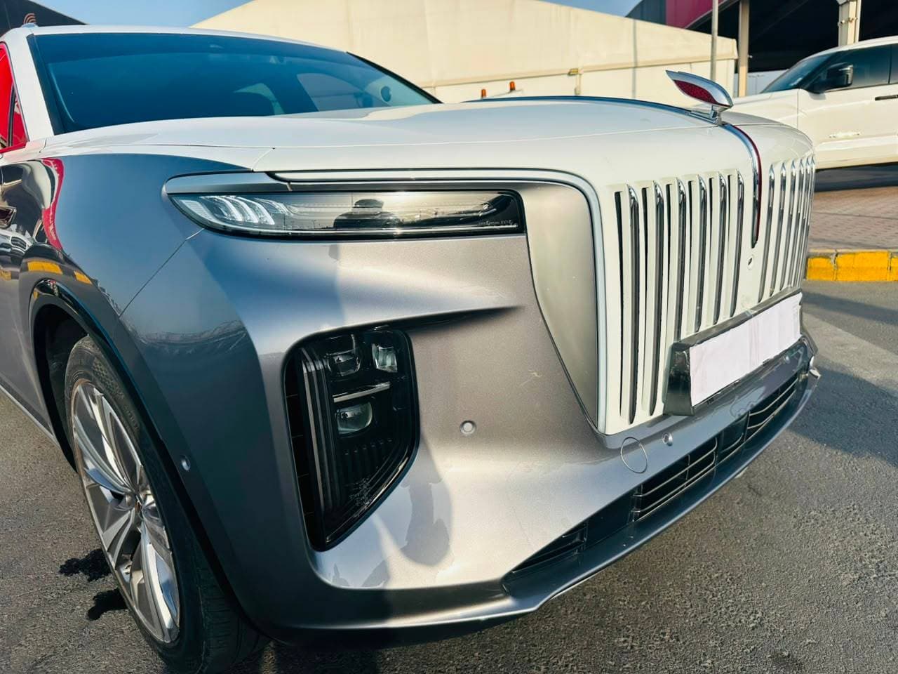 Hongqi EHS9 2023 view 15