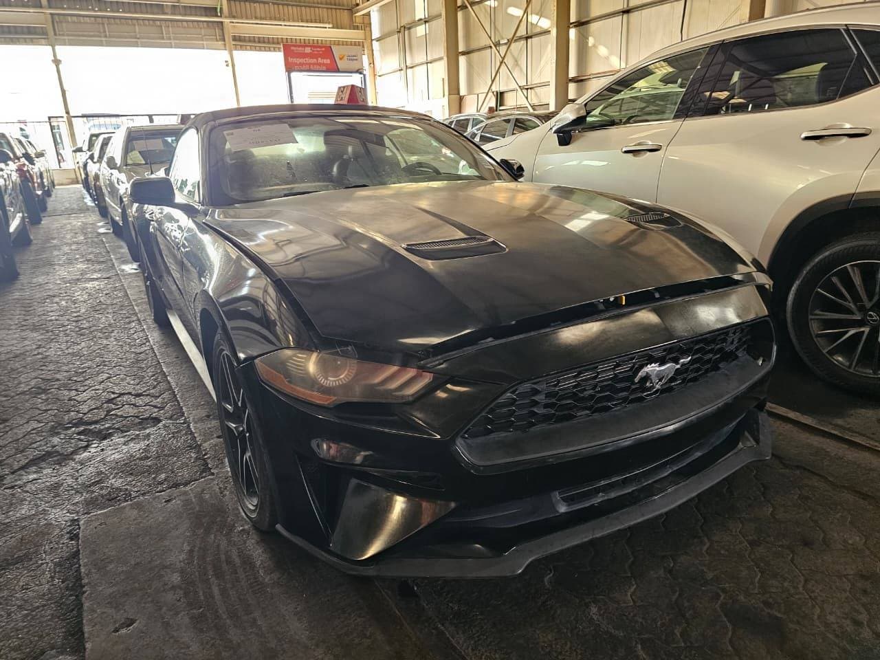 FORD MUSTANG 2019 vehicle photo