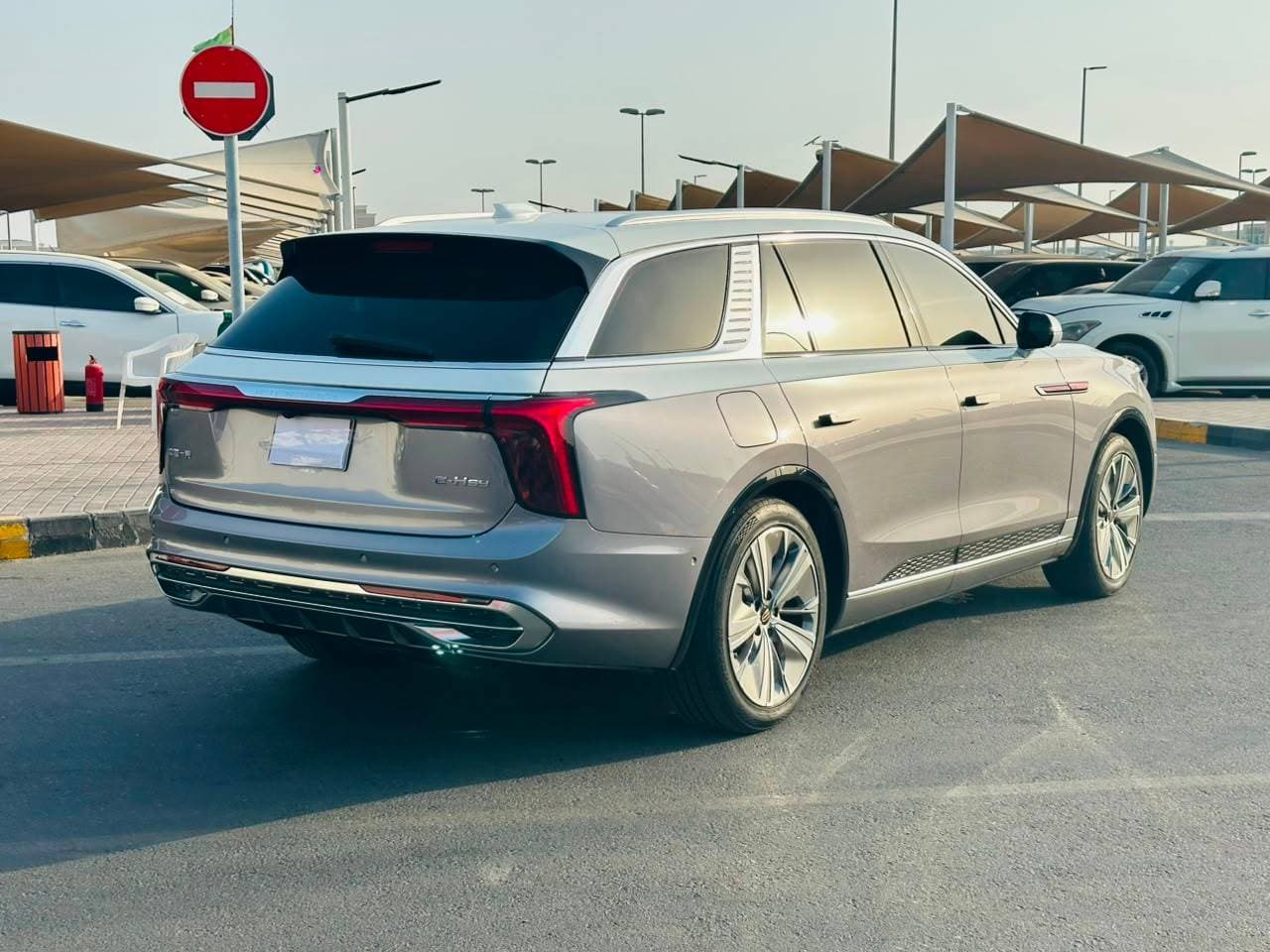 Hongqi EHS9 2023 view 7