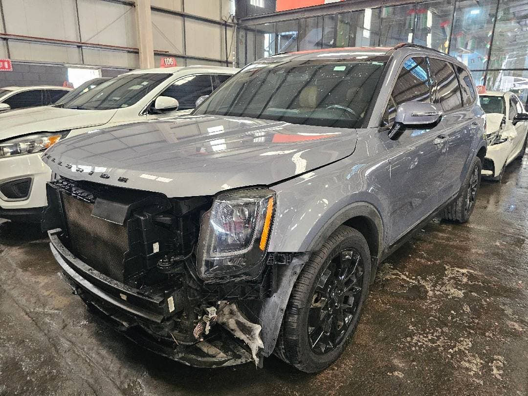 KIA TELLURIDE 2021 vehicle photo