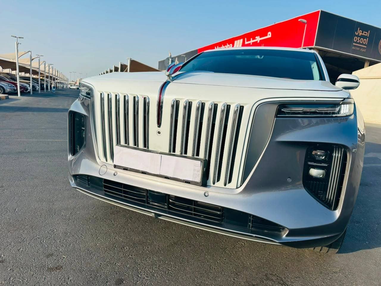 Hongqi EHS9 2023 view 16
