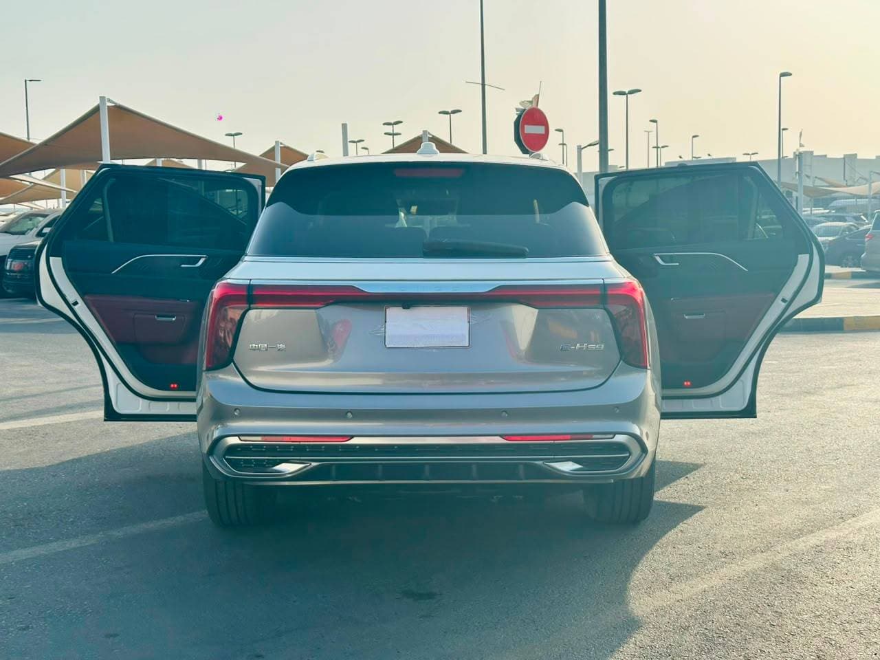Hongqi EHS9 2023 view 3
