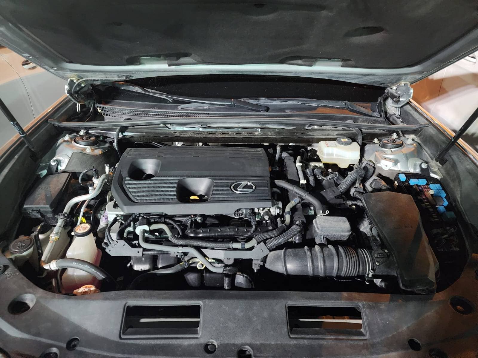 LEXUS ES 300H - Exterior