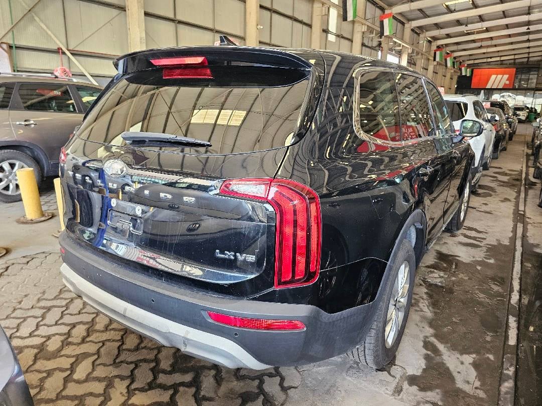 KIA TELLURIDE 2020 view 1
