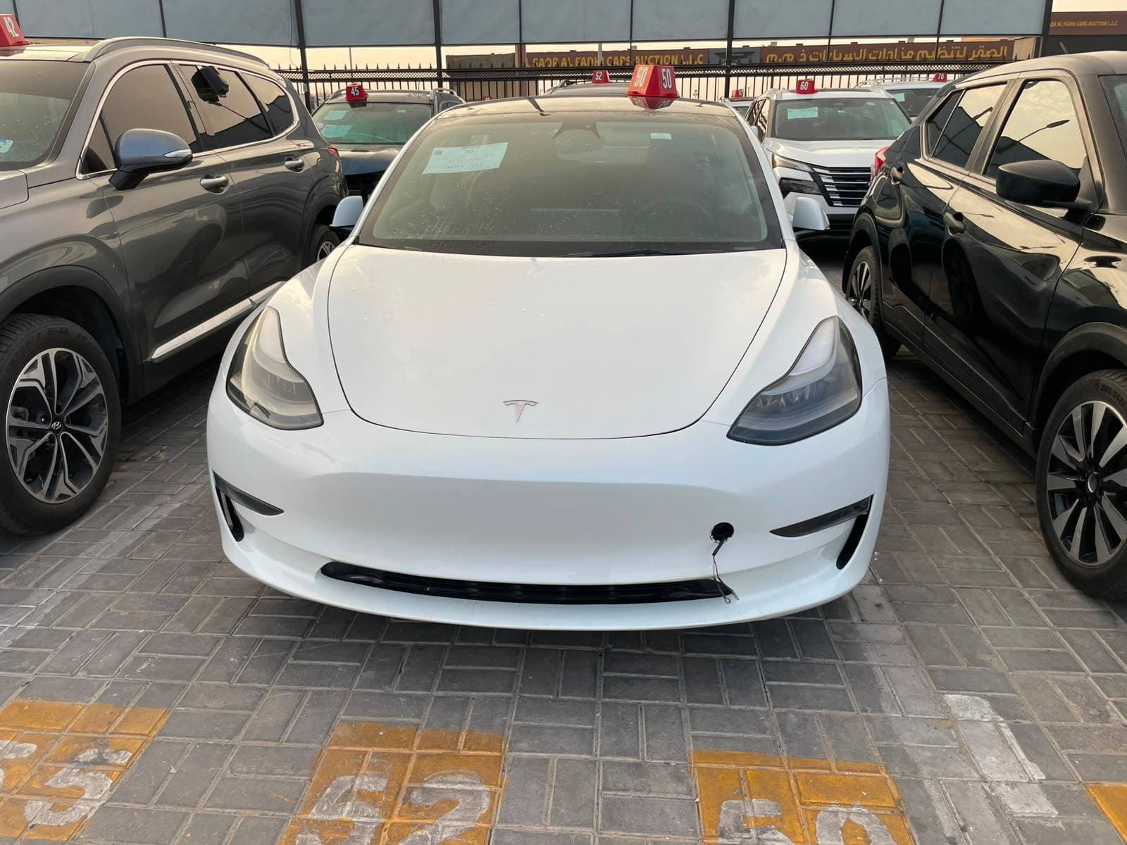 TESLA MODEL 3 2023 vehicle photo TESLA MODEL 3 2023 vehicle photo